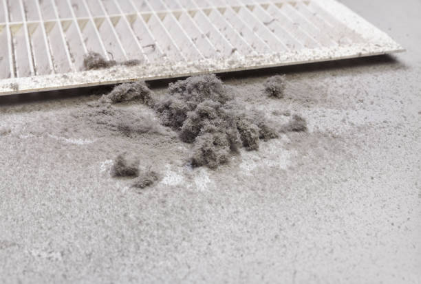 Best Ductwork Cleaning Services  in Wona Lake, IN