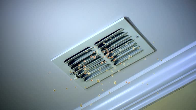 Best Air Duct Cleaning Near Me in Winona Lake, IN